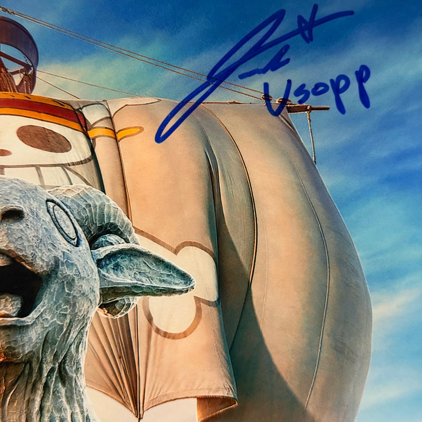 Fotografia One Piece Autografiada por parte del Elenco