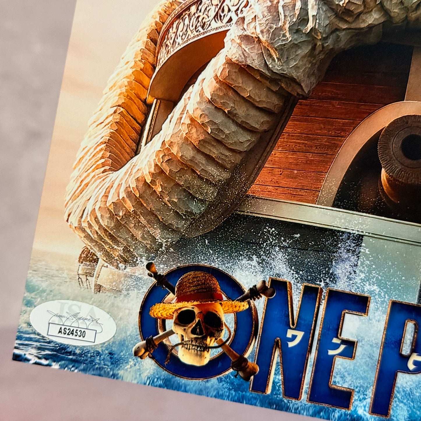 Fotografia One Piece Autografiada por parte del Elenco
