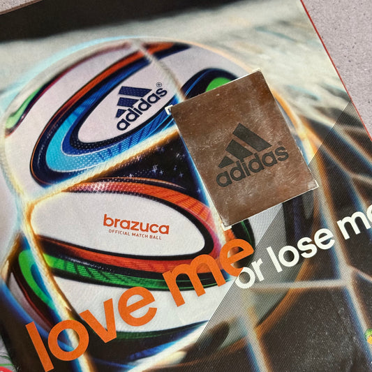 Album Panini Brasil 2014