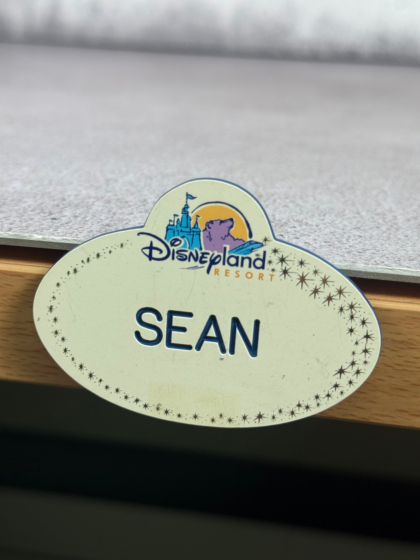 Disney Cast Member Nametag original (2000s)