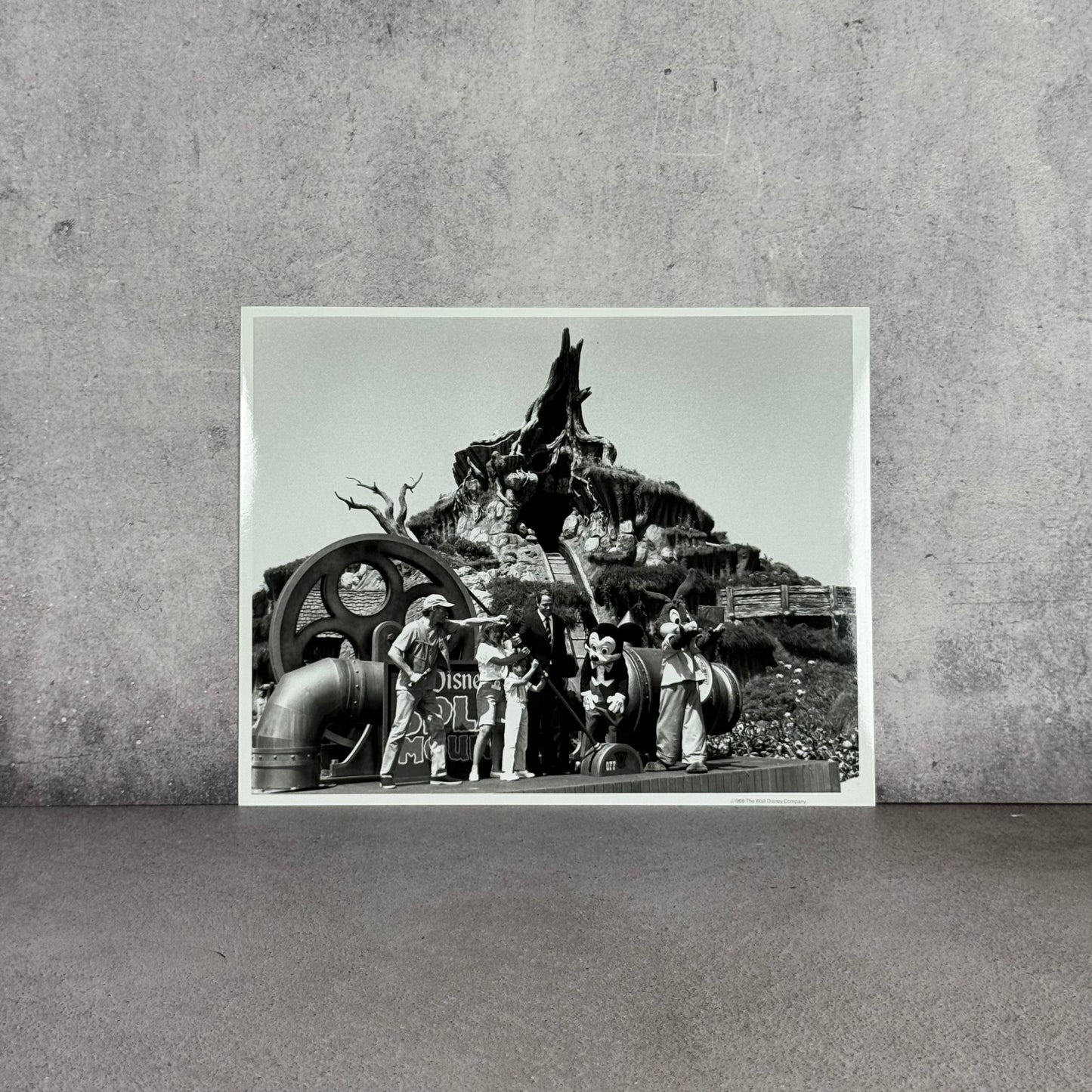Fotografía Prensa original Disney Splash Mountain 1988