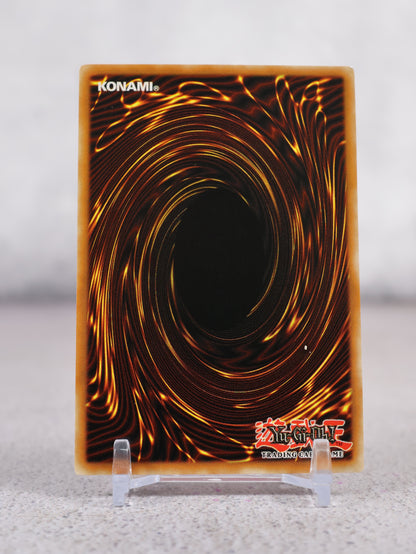 Paquete de 3 tarjetas movie promo Yu-Gi-Oh! 2000