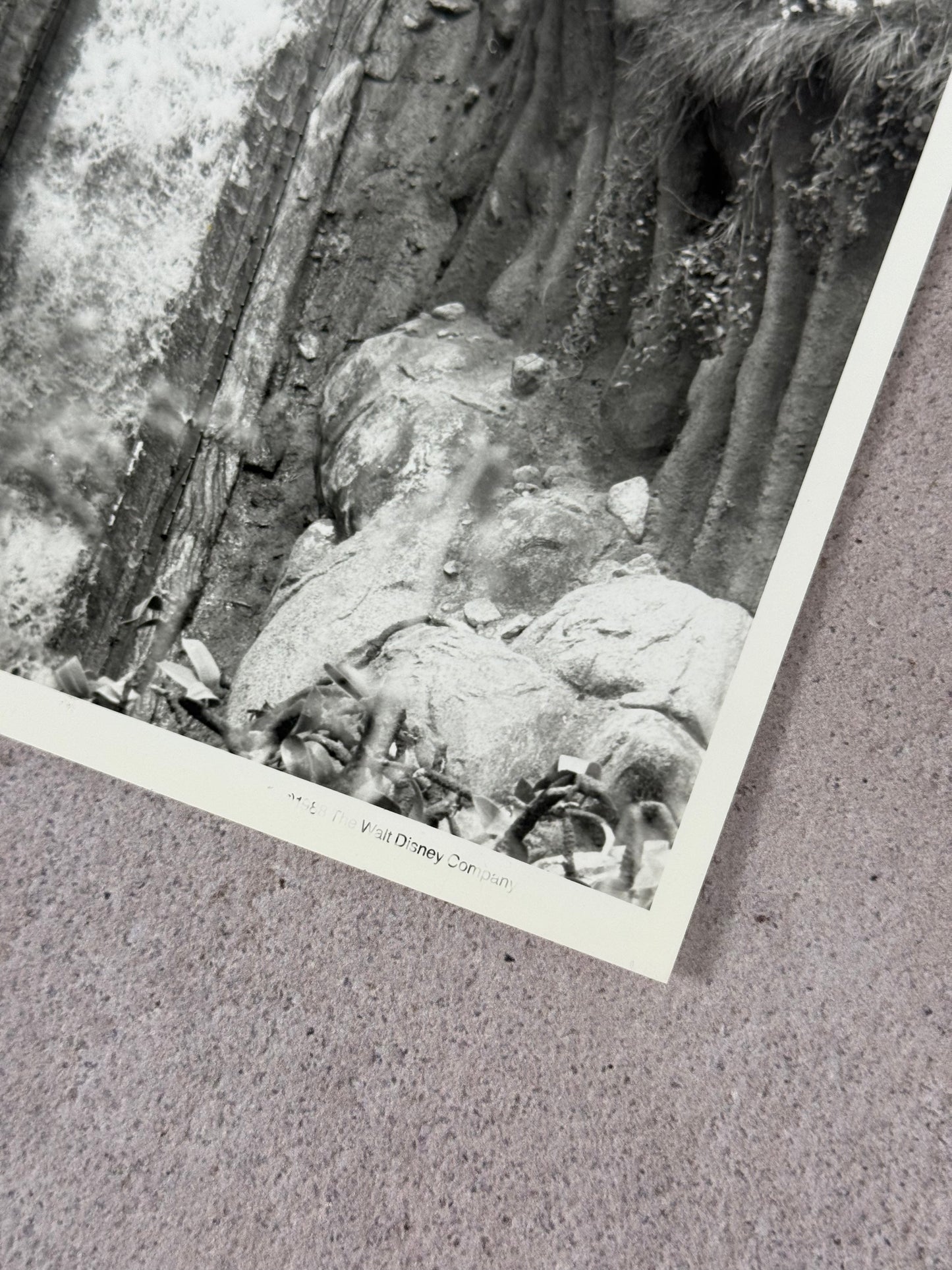 Disney Foto original para prensa Slpash Mountain 1988