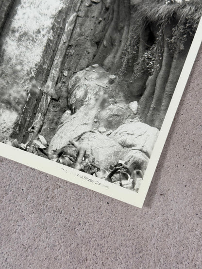 Disney Foto original para prensa Slpash Mountain 1988