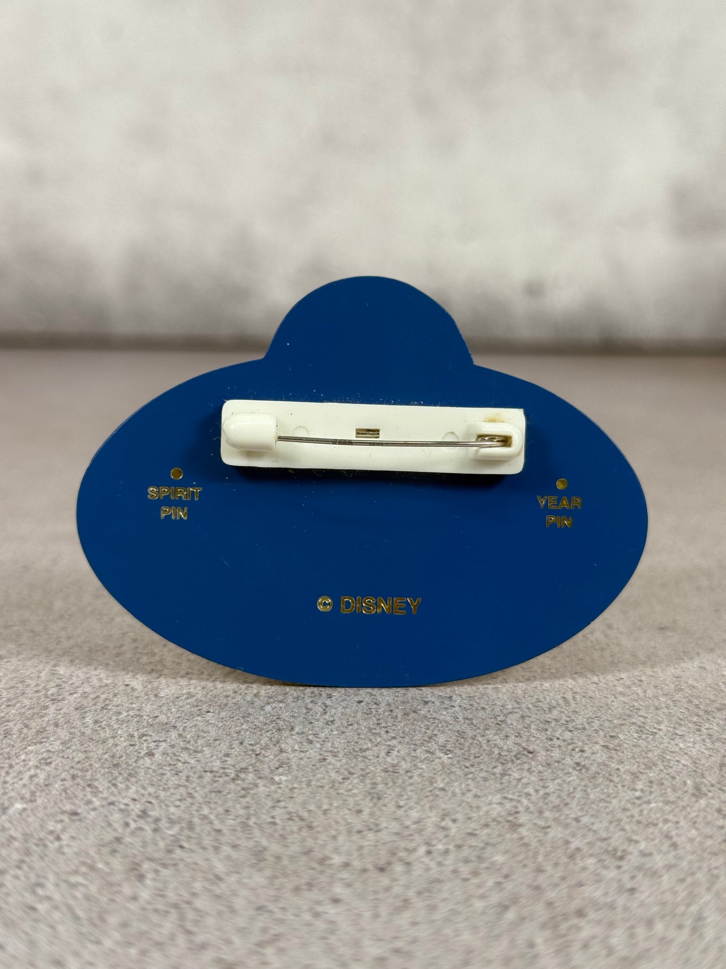 Disney Cast Member Nametag original (2000s)