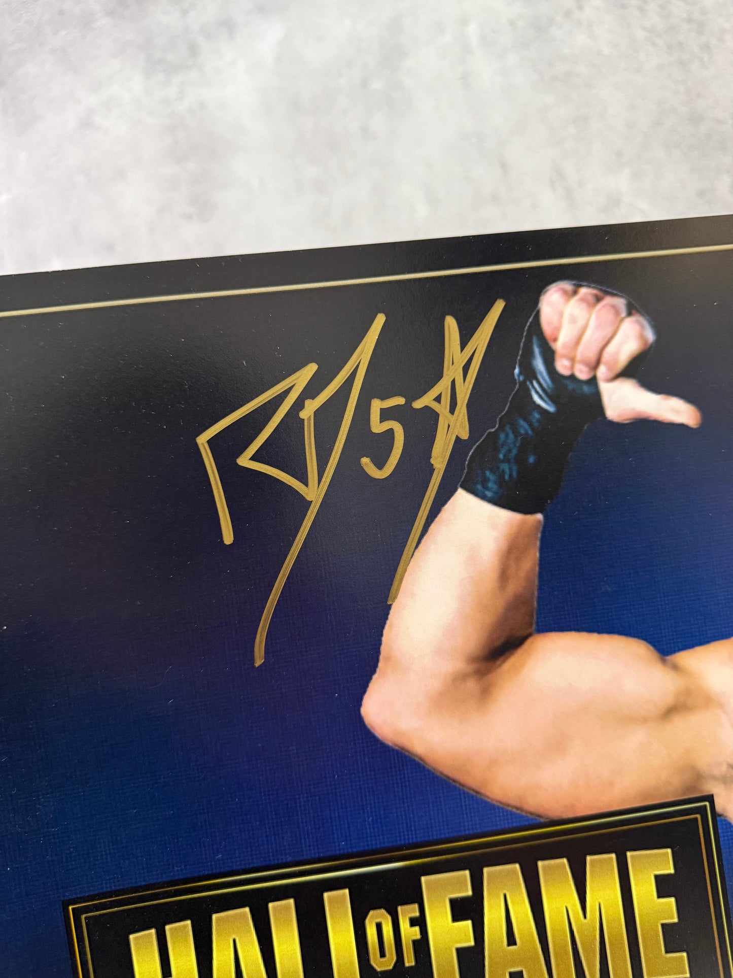 Poster firmado por Rob Van Dam JSA